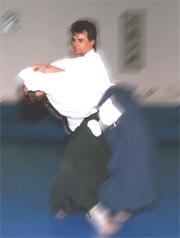 Haz Clic para Ver el Artículo sobre: Conceptos Básicos de la Filosofía del Aikido
