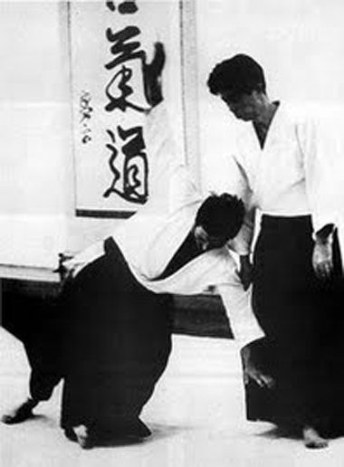 Haz Clic para Ver el Artículo sobre: Aspectos para la Evolución Técnica del Aikido