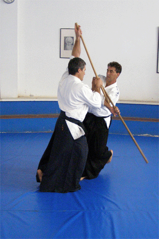 Curriculum del Sensei Ishana Pérez