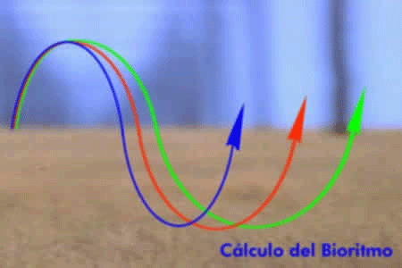 Has Clic si Quieres Calcular tu Biorritmo