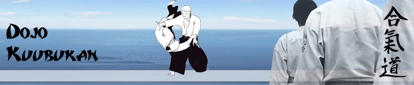 Haz Clic si quieres Ver La Información sobre  la Práctica Intensiva de Aikido