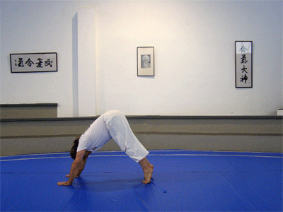 Adho Mukha Svanasana, el perro dobl�ndose sobre s� mismo; y Bhujangasana, la serpiente