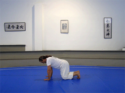 Preasana para Eka Pada Koundinyasana; Ushiro Ukemi; Halasana -el arado-