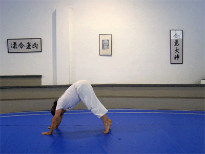 Adho Mukha Svanasana, el perro dobl�ndose sobre s� mismo