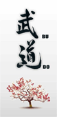 Cultura Audiovisual del Budo