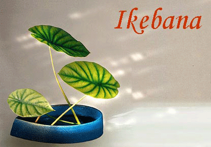 Ikebana, flor viva colocada
