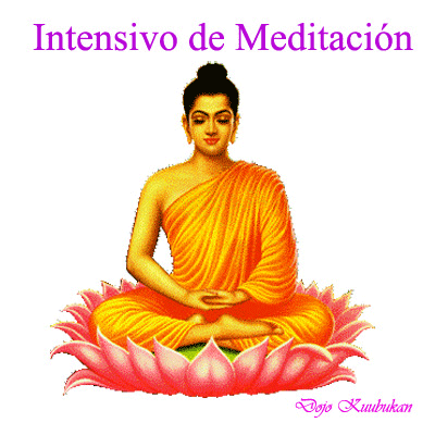 Toda la Información sobre el Intensivo de Meditación