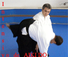 Toda la Informaci�n sobre el Intensivo de Aikido en 2012