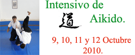 Informaci�n sobre el Intensivo de Aikido