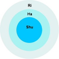 Haz Clic para ver el Artículo: Shu. Ha. Ri, el proceso educativo en Aikido