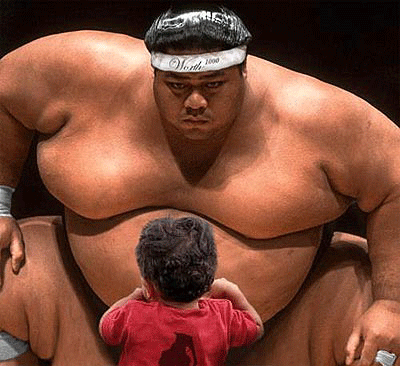 Información de Wikipedia sobre Sumo