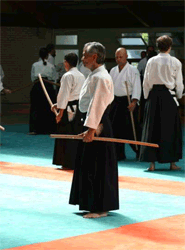Hoy hay numerosas formas de Aikido. ¿Es algo bueno? ¿Debe O-sensei ser la referencia?