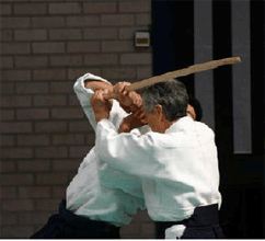 Algunos maestros se refieren al Zen cuando enseñan Aikido, otros al Shinto