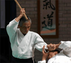 Es, pues, necesario, según usted, ¿conocer la cultura japonesa para comprender el Aikido?