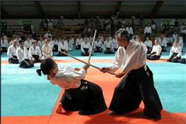 ¿Cuales son para usted los puntos fuertes y los puntos débiles del Aikido francés? ¿En Aikido el trabajo de armas es importante?