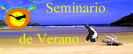 Escuela de Verano de Aikido en Tenerife