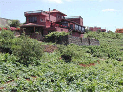 Bodega Monje