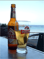 Cerveza Dorada