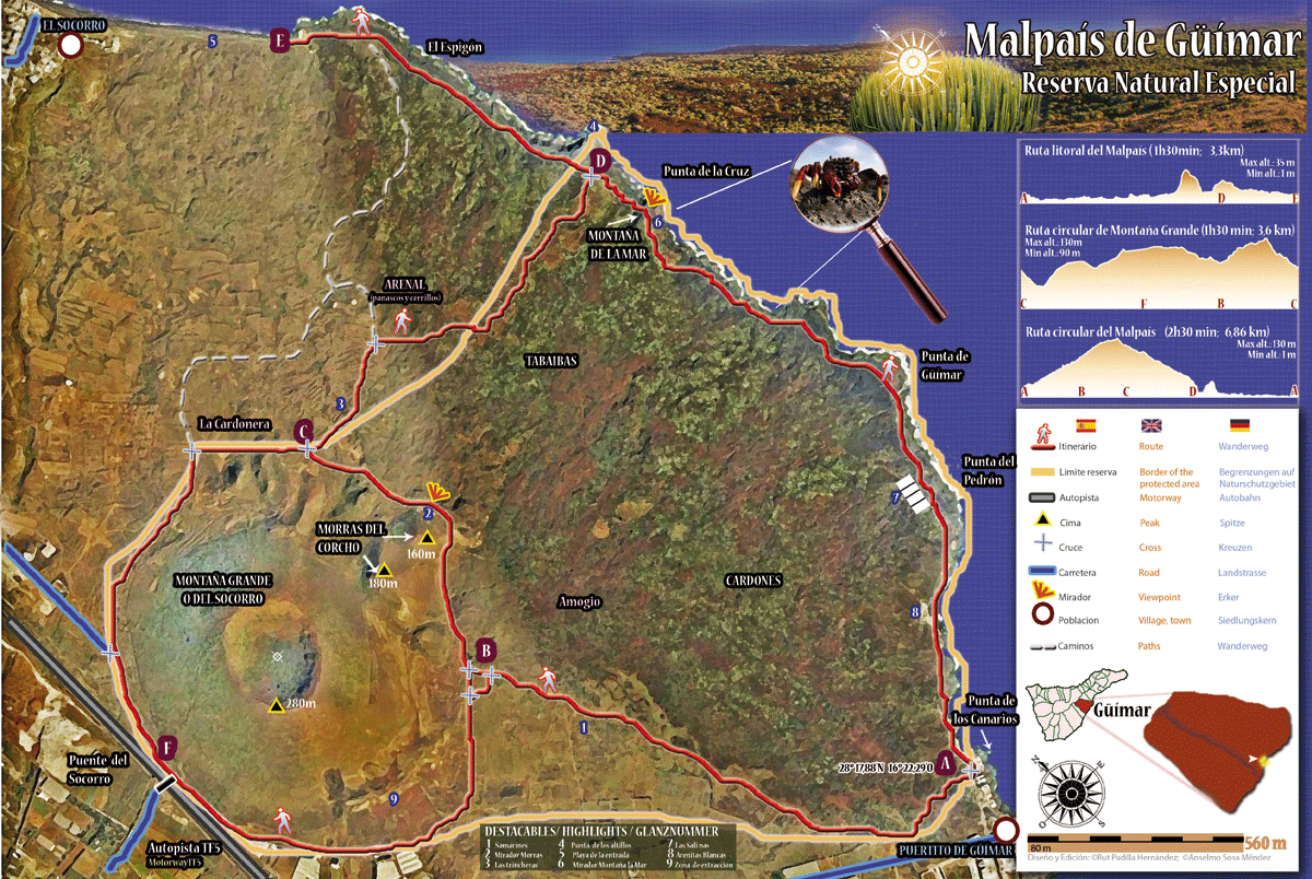 Excursión por el Malpaís de Güimar