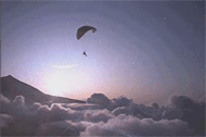 Link de la Web Parapente Canarias