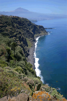 Playa del Arenal