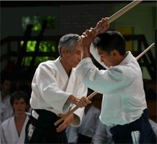 ¿O-sensei no enseñaba kata a dos, que sepamos, ni en Iwama ni en el Hombu dojo, no?