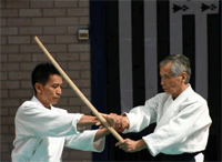 ¿Cual es la diferencia entre el Budo y el Bujutsu?